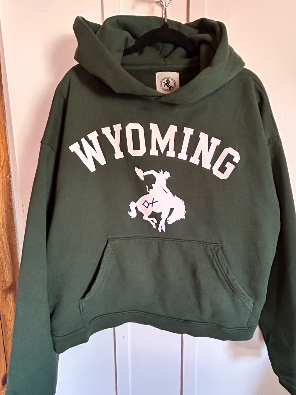 Diamond Cross Ranch “classic hoodie” in forest green/tote bag